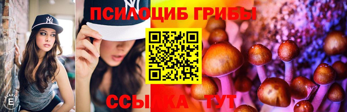 Галлюциногенные грибы мицелий Нерюнгри