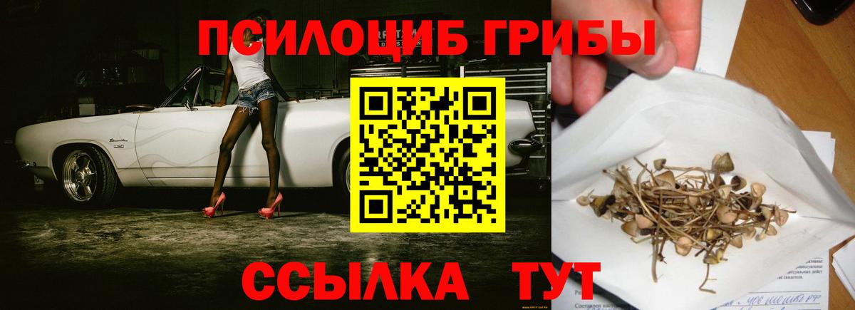 Галлюциногенные грибы мухоморы  где купить   Нерюнгри  Псилоцибиновые грибы Magic Shrooms  Вход с VPN 
